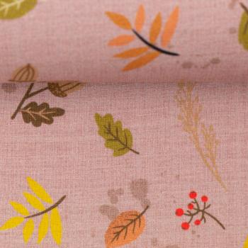 Preview: Baumwoll Jersey Igel Iggi Kombi Altrosa by Christiane Zielinski von Swafing